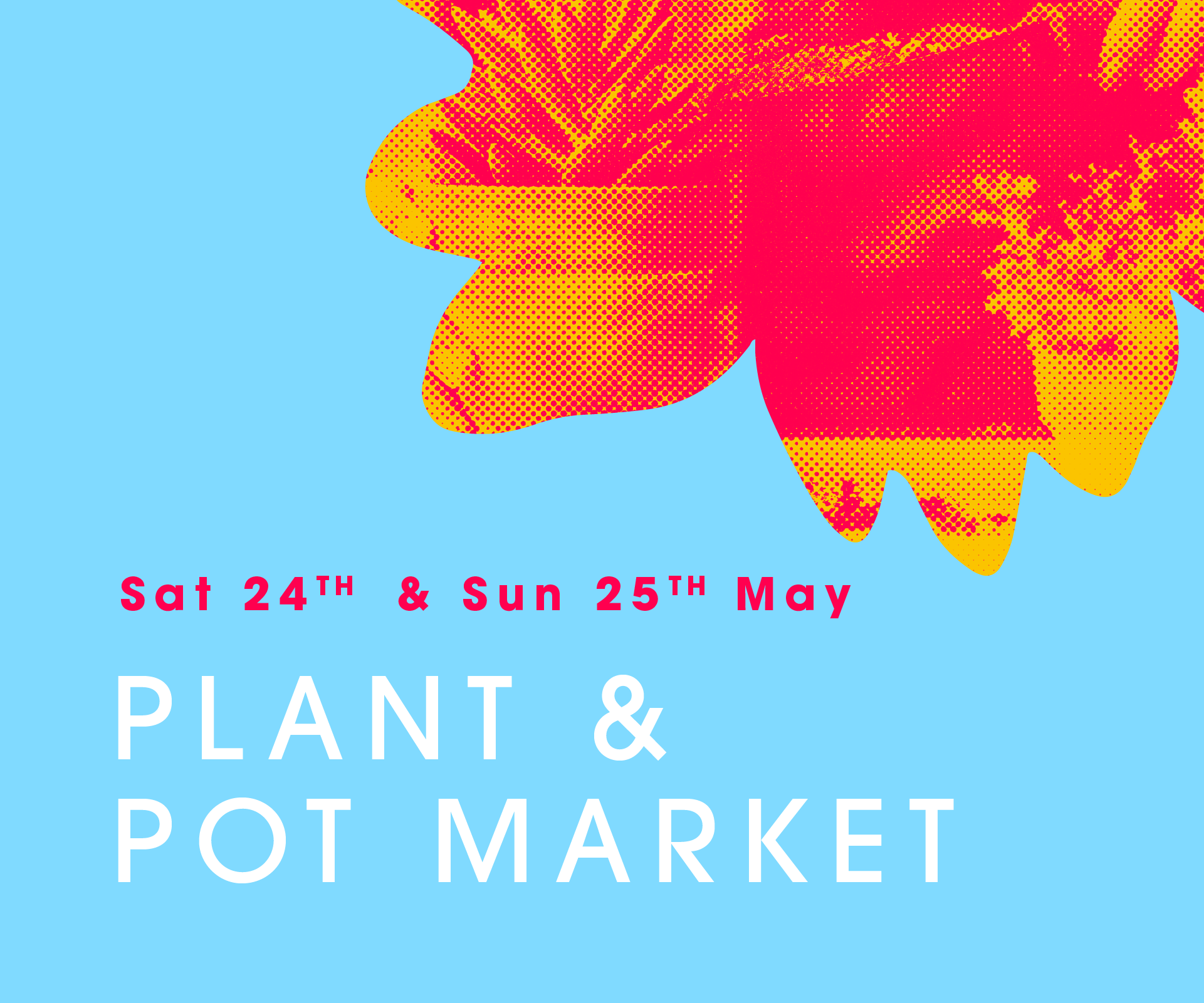 Plant and Pot Market at Filmworks Ealing